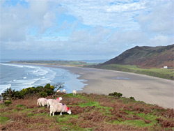 Rhossili Bay