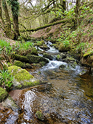 Tributary stream