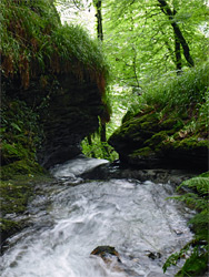 Brink of the White Lady Waterfall