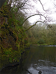 Vertical cliff