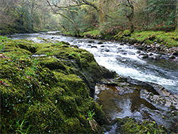 Mossy rock