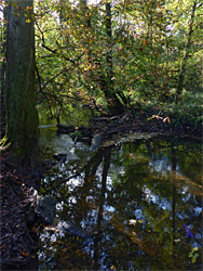 River near Oldbury Court