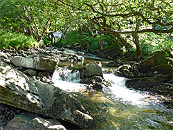 Boulders in the river