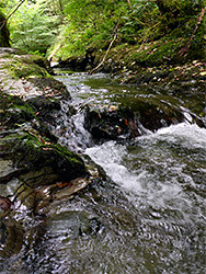 Wet rocks