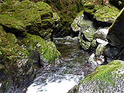 Moss-covered rocks