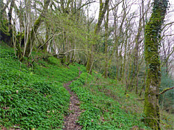 Hillside path