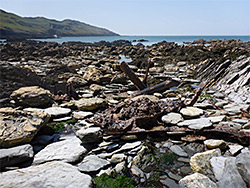 Rocks at low tide