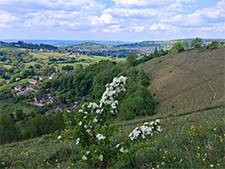 Selsley village