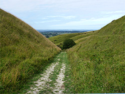 Sunken lane