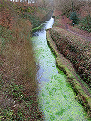 Above the canal
