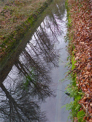 Reflections