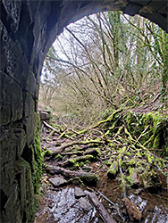 West tunnel entrance