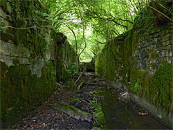 Mossy walls