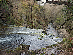 Brink of the falls