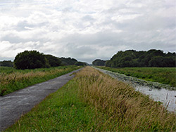 Old railway - west