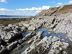 Pools at low tide