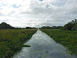 South Drain