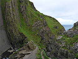 Grassy strata