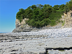 Overgrown cliffs