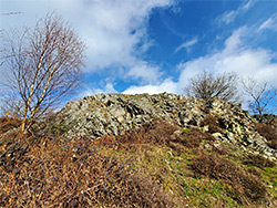 Rock outcrop