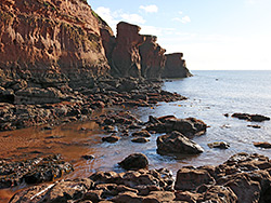 Rocks at low tide