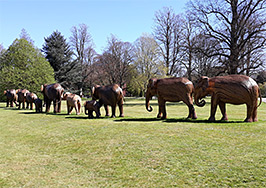 Wicker elephants