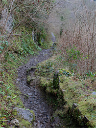 Stony path