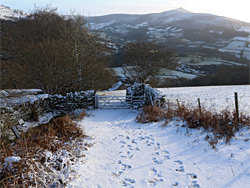 Snowy track