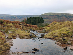 Pool and stream