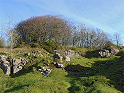 Rocks and trees