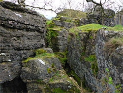 Limestone blocks