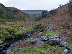 Upper end of the valley