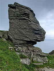 Head-shaped rock