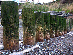 Posts at Watchet