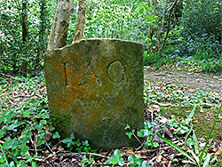 IAG boundary marker