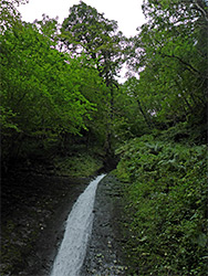 Top of the falls