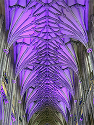 Ceiling of the nave