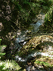 Stream below the falls