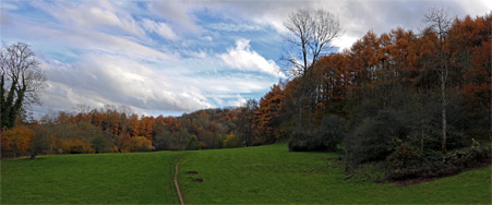 Field and woodland