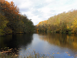 Kennel Pond