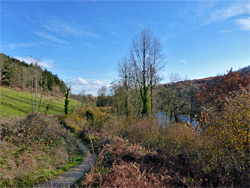 Field beside Middle Pond