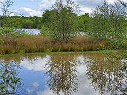 Reflections on the lake