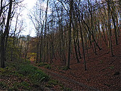 Track near the east entrance