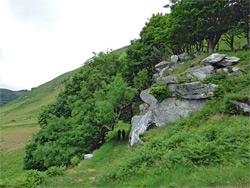 Path near Wringcliff Bay