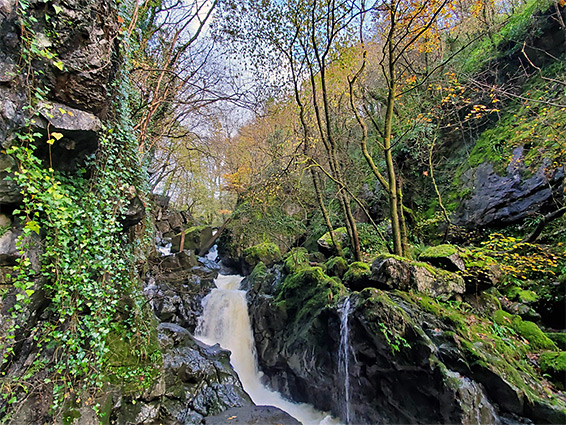 Tributary stream