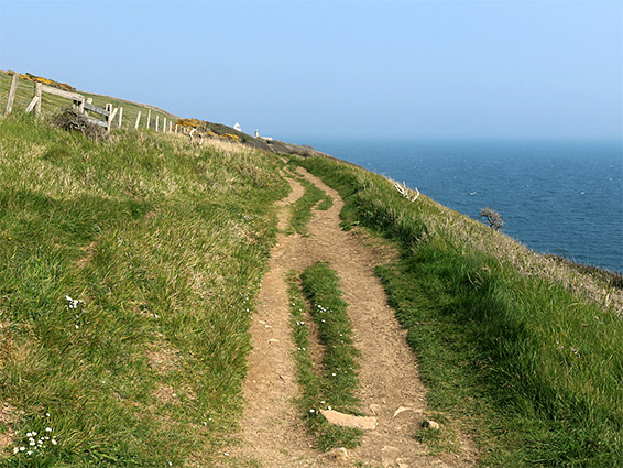 The coast path