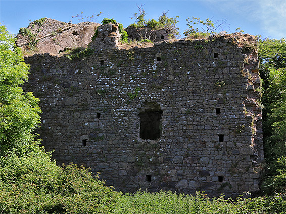 Rib vault