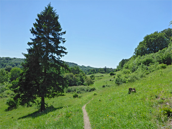 Path through the reserve