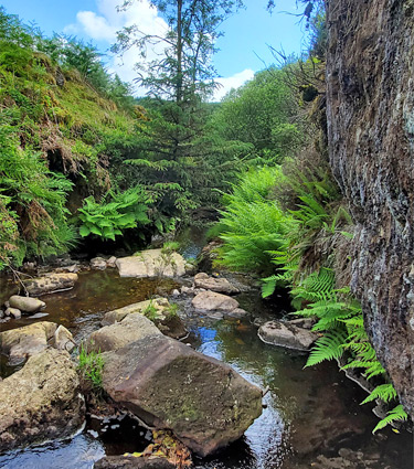 Vertical cliff, stream and boulders