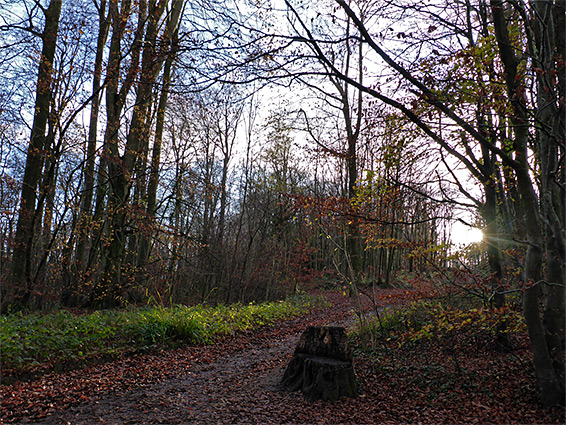 Sun near the entrance